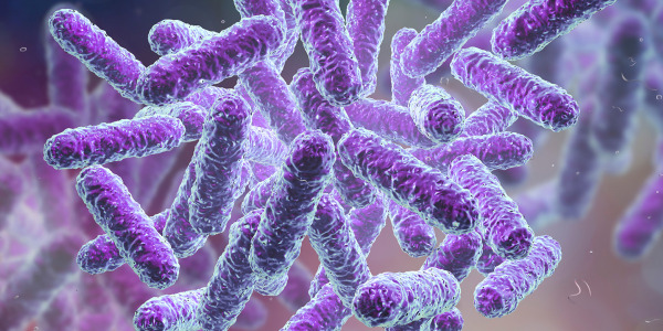 Microbiota: cos’è, a cosa serve